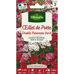 oeillet1