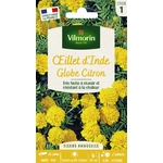 citron 1