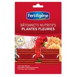 3121970173659_BATONNETS PLANTES FLEURIE X40