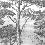 2-5411012482886