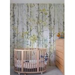 Betula 1