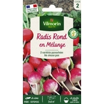 mELANGE 1