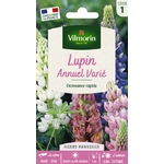 lupin 1