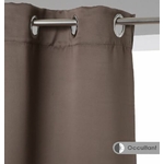 taupe1