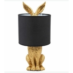 LAPIN1