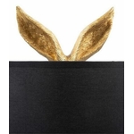 LAPIN2