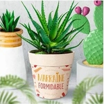 MARRAINE