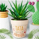TATA PARFAITE3