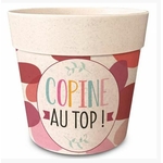 COPINE