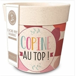 COPINE2
