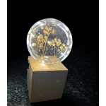 LAMPE1