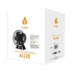 alizee2