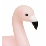 FLAMAND2