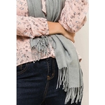 GRIS CLAIR1