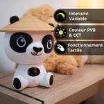 PANDA6