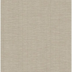 bamboo1