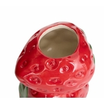 FRAISE3