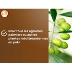 TERREAU AGRUMES BAG 6L 5