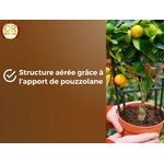 TERREAU AGRUMES BAG 6L 3