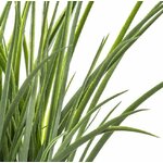 HERBE2