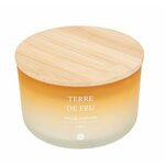 TERRE DE FEU