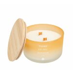 TERRE DE FEU2
