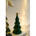 sapin3