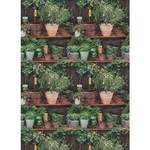 erismann-potted-plants-wallpaper-P-1504056-11275303_1