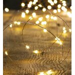 GN INT 2M 20L BC FX COP P.JPG 1