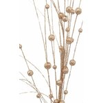 BCH ROSEAU BILLE DORE 95CM.JPG 1