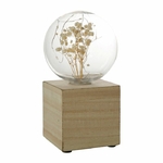 lampes-a-piles-carre-en-bois-lisse-35845_3235463358451-ostaria-fleurs