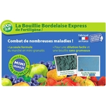 Bouillie Bordelaise Express Granulés 3121970167955 1