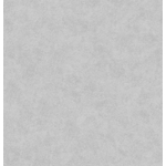 PP INT UNI MEMORY GRIS PERLE