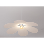 suspension-naya1