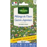 Gazon Japonais 1