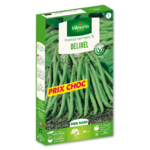 Haricot delinel 1
