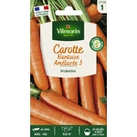 Carotte nantaise
