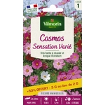 Cosmos Sensation 1