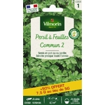 Persil commun 1