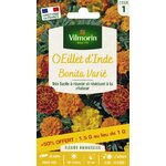 Oeilletd inde 1