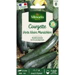 Courgette maraichere 1