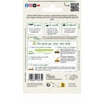 Courgette maraicheres 2