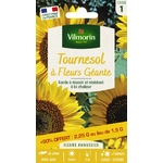 Tournesol Geant