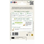 Tournesol geant 2