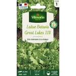Laitue Great Lake