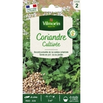 Coriandre 1