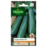 Courge Belor