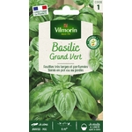 BASILIC GRD VERT