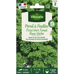Verbo 1