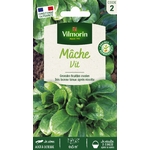 Mache vit